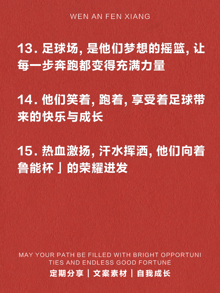 热血激荡，球场上每一个瞬间都值得回味的简单介绍