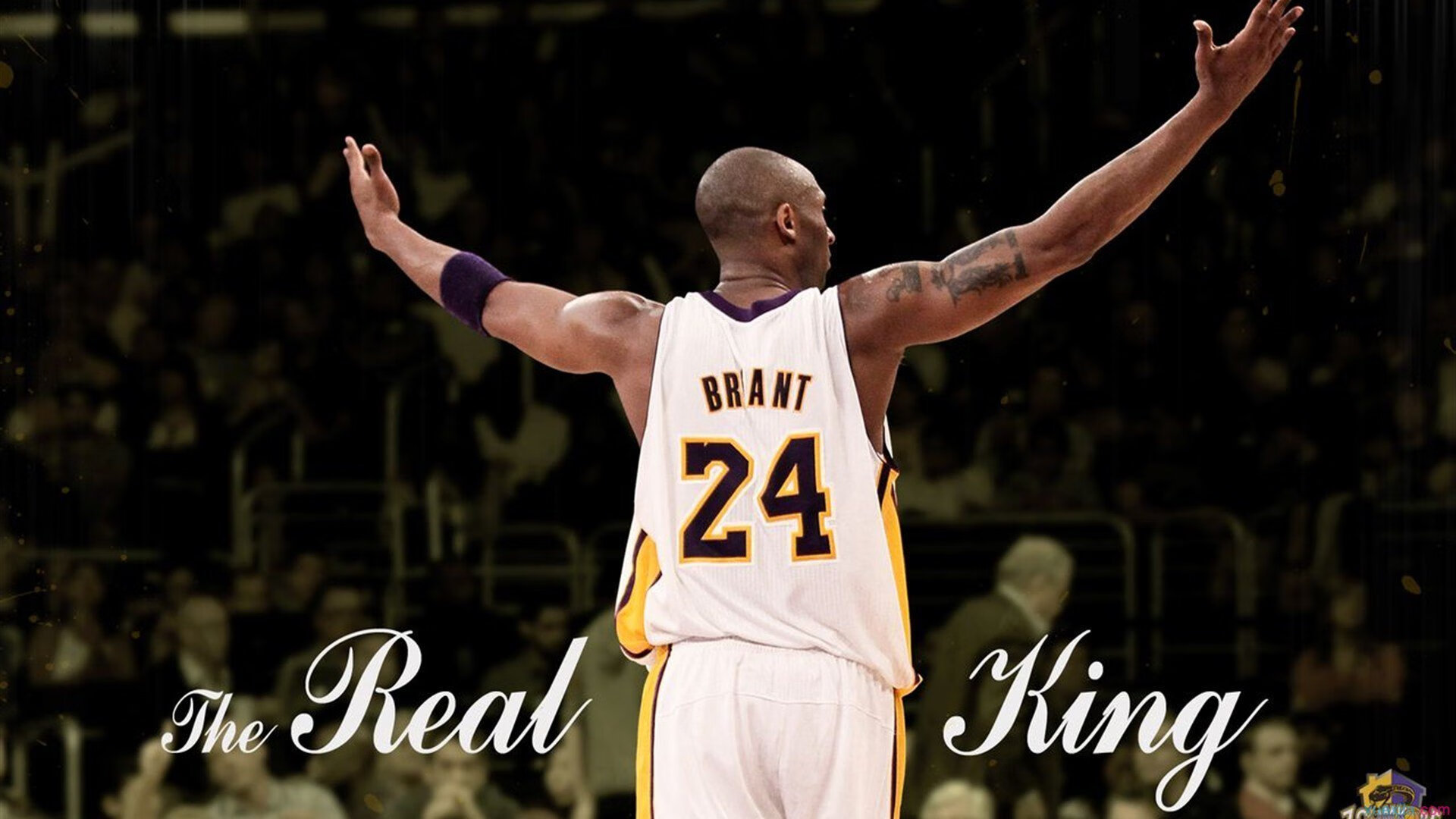 奥斯梅恩的利刃与冰岛的寒流，当个人英雄主义遭遇团队战术的极致演绎